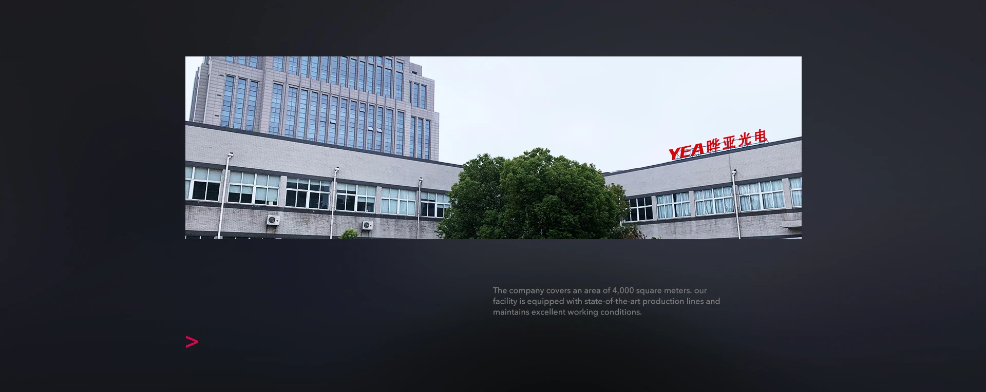 Company overview