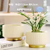 Medium two lemon matte-with tray