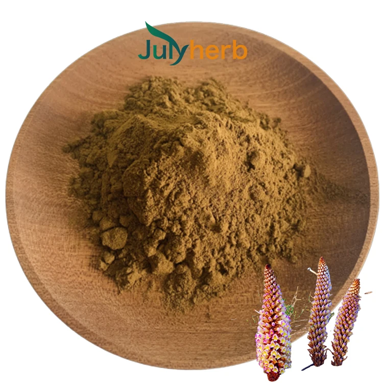 Cistanche tubulosa extract powder 