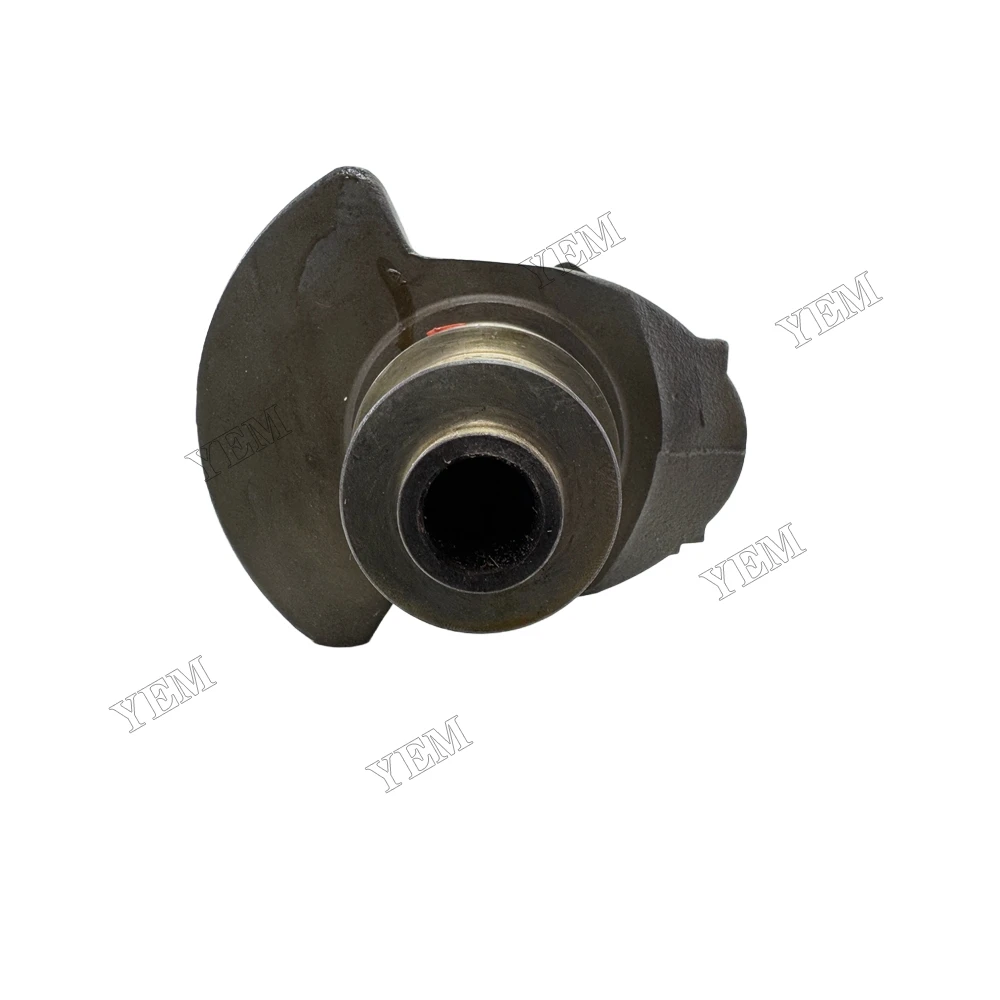 04270233 Crankshaft for Deutz F4L1011F Industrial Engine Parts 4