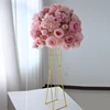 Rosa 11