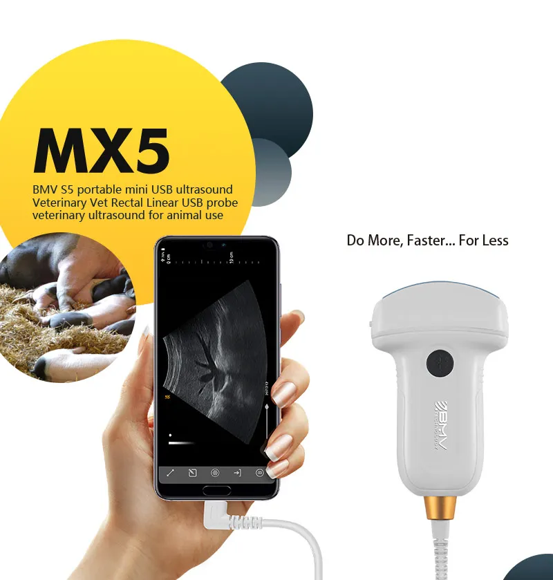 animal hospital mobile veterinary ultrasound near me