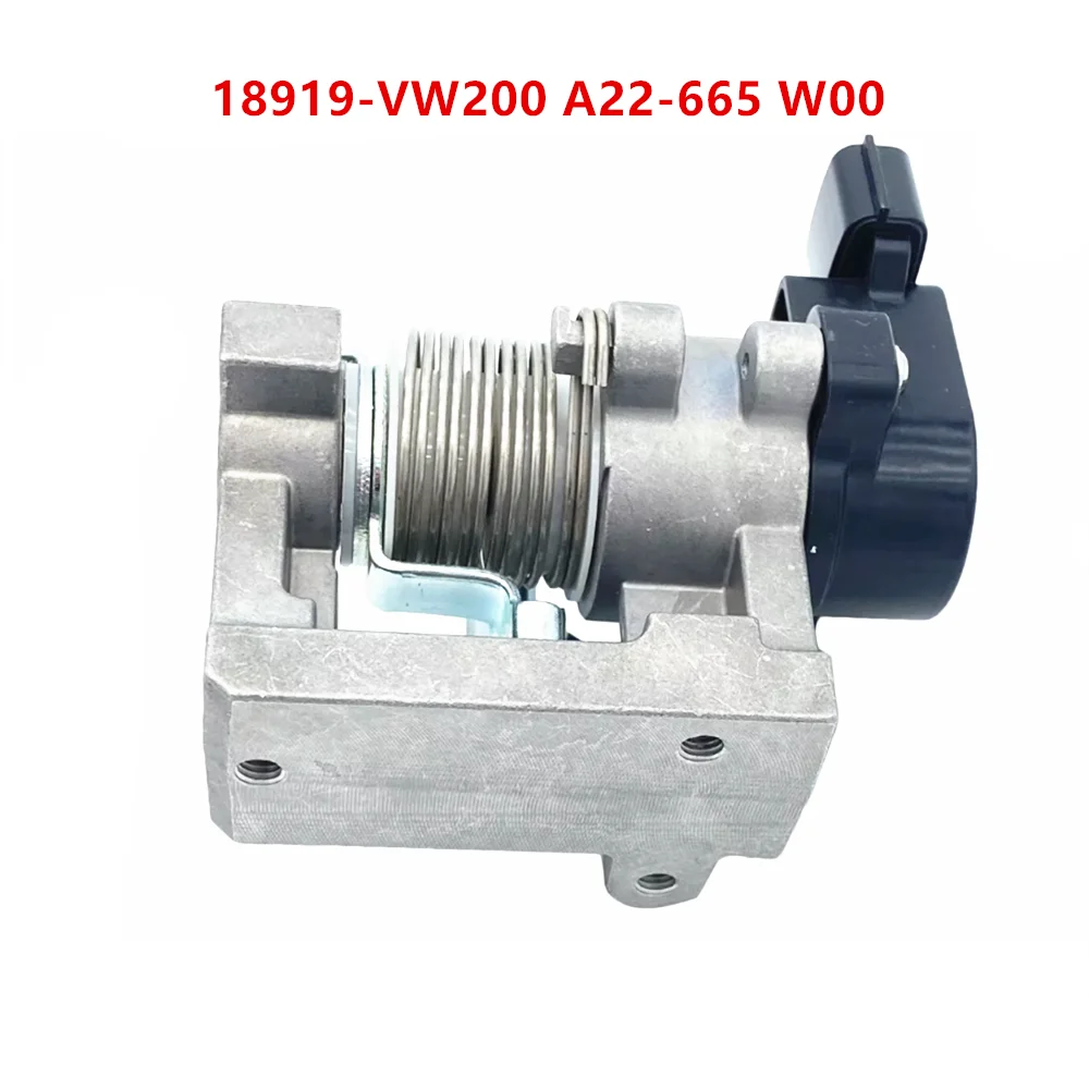 18919-VW200 A22-665 W00 Accelerator Pedal Assembly for