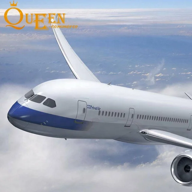 Традиционные грузовые авиаперевозки, экспедиторские перевозки, прямые поставки DHL из Китая в США/Великобританию/Индию/Германию