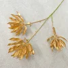 Fiore di fiamma