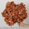 Caramel-colored seven-headed woolen hydrangea bundle