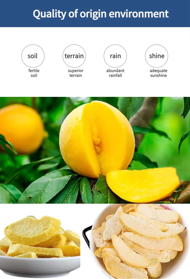 China Freeze Dried Yellow Peach Slices Factory | Bulk Wholesale H95da04bb1e254707ac1cf8d0934f65a1U