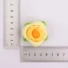 สีเหลืองไล่ระดับ-Gradient Bubble rose perianth