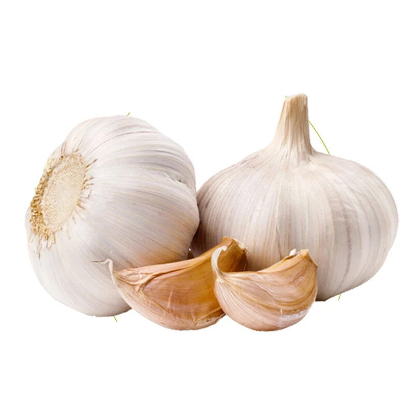Chinese Best Wholesale Fresh Garlic Price -new crop, high quality for export
