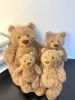Barcelo bear-3 standard