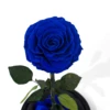 Blu reale