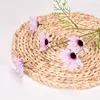 Crisantemo holandés violeta claro