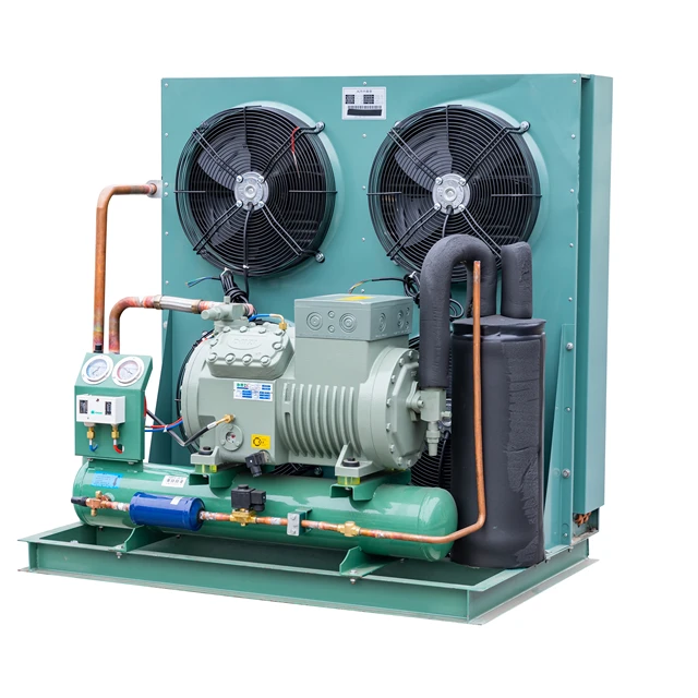 R404a R134a Bitzer Compressor Cold Room Condensing Unit Evaporative Air Cooler for Supermarket Refrigeration