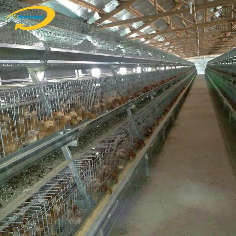 Factory supply automatic laying pyramid chicken cage rooster cages chicken A type chicken cage for broilers