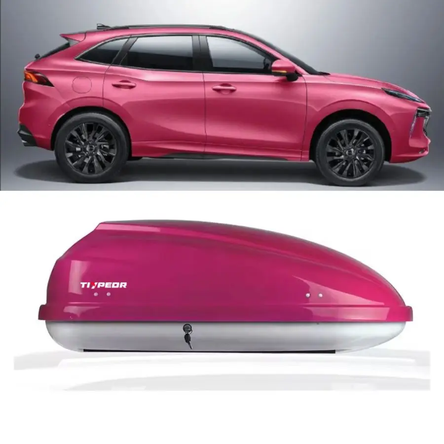 High Quality Universal Customization ABS 370L Pink Car Roof Top Cargo Box Carriers Car Roof Rack Box for SUV Cargo Carrier