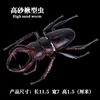M-967 Catalpa Albus [0.027kg]