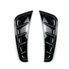 glossy black