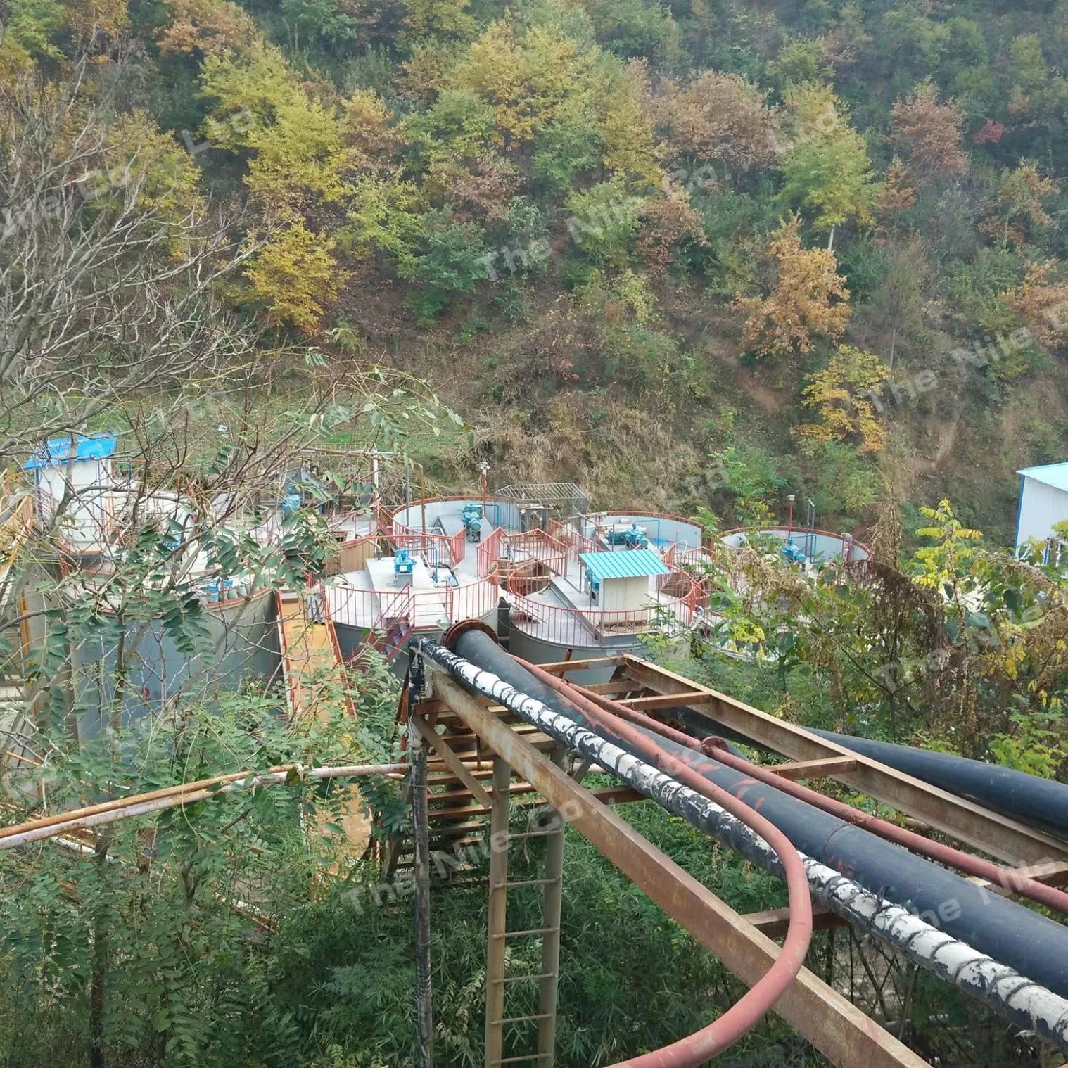 Mining Production Line Gold Extracting Extraction Gold Machine Plant for Sale Cip Gold Processing Plant