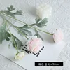 #3 rosa