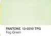 Fog Green