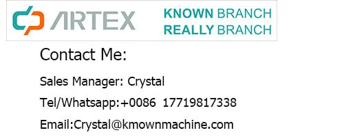 2025年中国風キャリッジアンティークホースカート電動引力展示