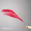 12-headed phoenix tail combination