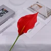 No 14-branch and stem flower head development