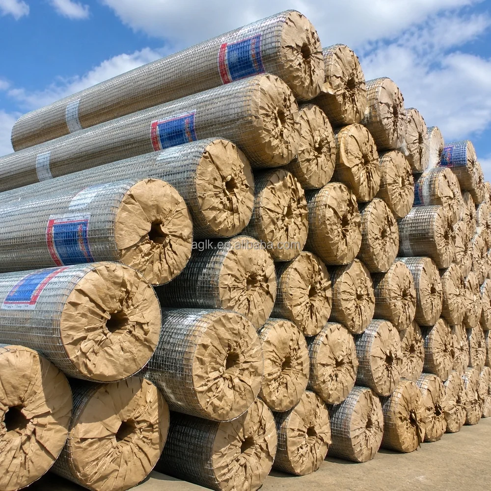 Galvanized Welded Wire Mesh Roll