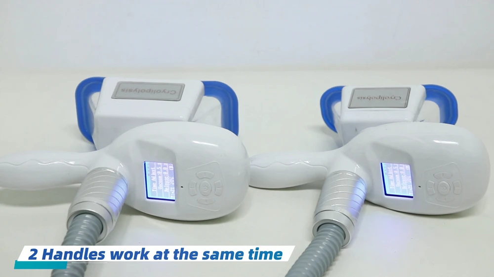 Portable 2 Handle Work at the Same Time Cryotherapy Fat Freezing Cryolipolyse Slimming Machine