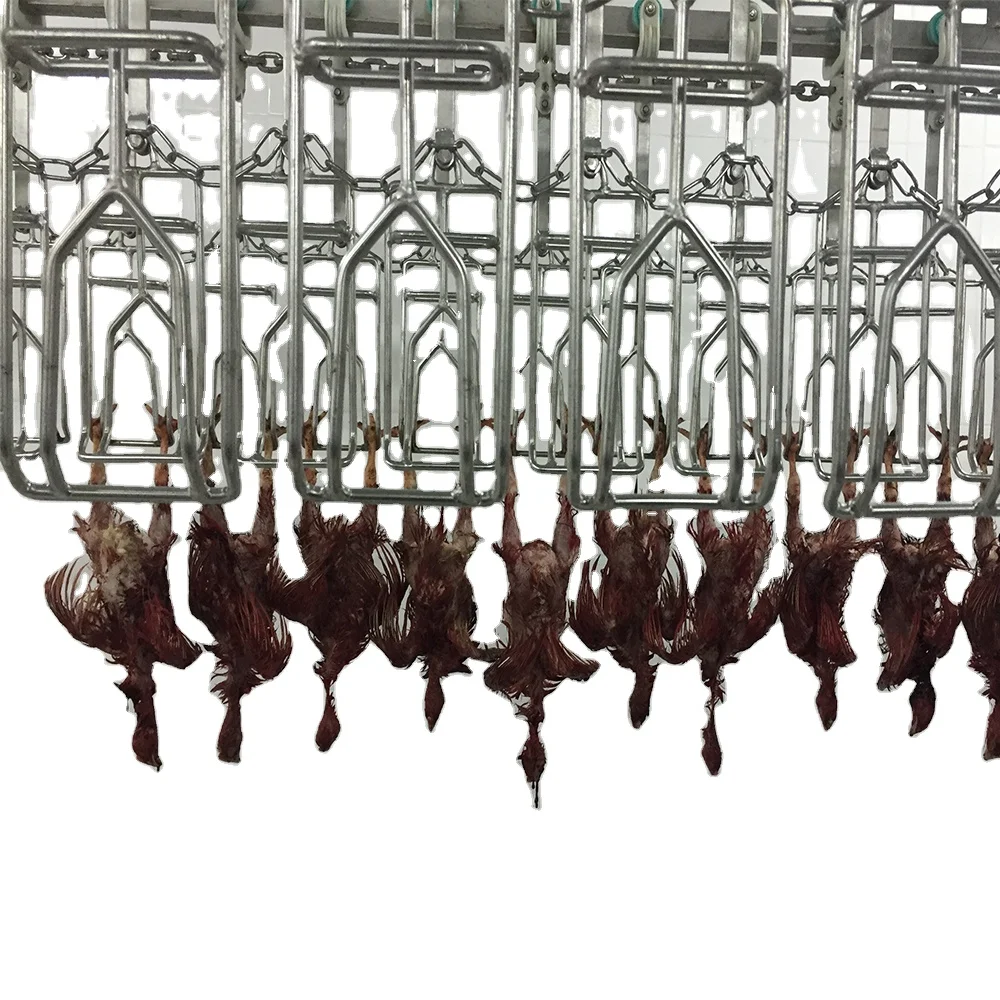 Chicken Slaughtering Used Poultry Processing Conveyor Line Shackles Equipment Chicken Broiler Turkey Duck Bird for Broiler Farm