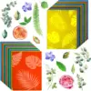 Couleurs mixtes