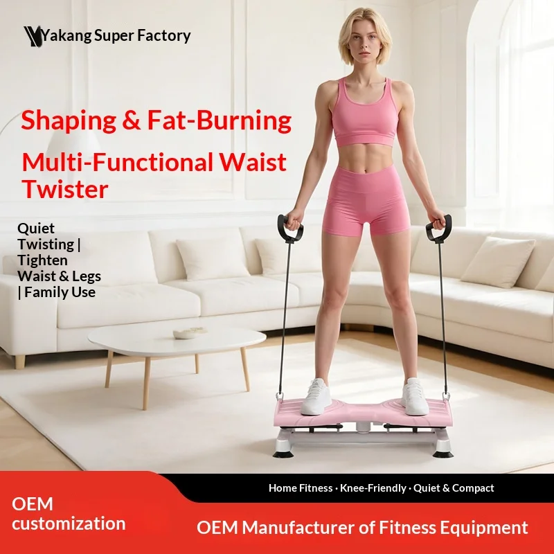 Multifunctional Mechanical Waist Twist Machine with Pull Cord Silent Design product detail 3