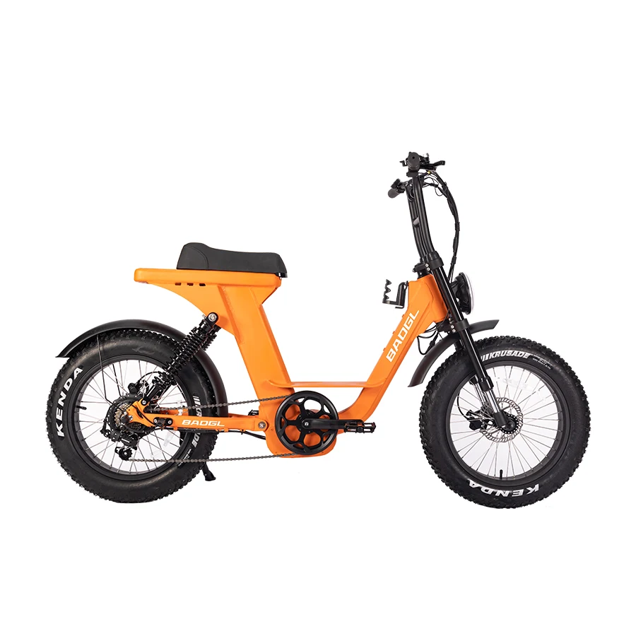 Lafly E-bike 電動自転車 1000W 48V 15ah LAFLY X3 1000W National Standard Electric Bicycle Folding 48V