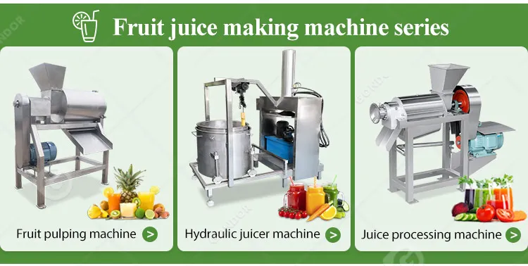 Industrial Bitter Gourd Guava Pineapple Juice Extractor Machine Presse Jus Orange Cool Press Juicer