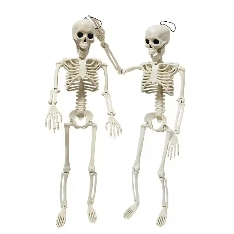 Lot De 6 Squelettes Halloween En Plastique 40 Cm - Articulations Mobiles, Réalistes | Décoration Maison Hantée, Fête