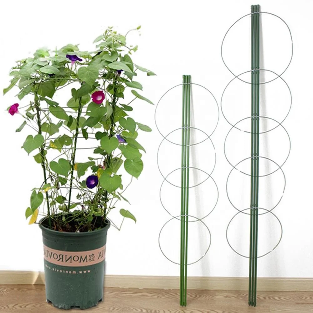 500 x 24" Split Canes Green Plant Garden Support Flower Sticks Frame 60cm 