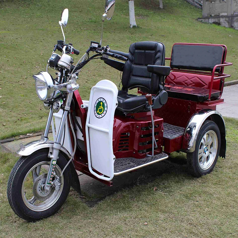 New Red Two Seater Tricycle Two Person diesel Three Wheeler