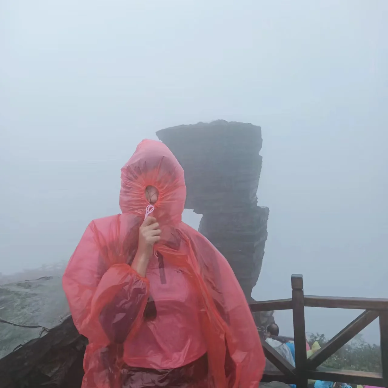 Chubasqueros desechables para acampar, senderismo, viajar, chubasquero  portátil con mangas largas para un solo uso