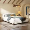 Lit + King