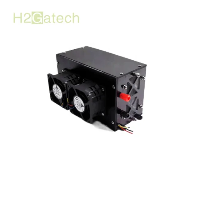 Customized 400W PEM Hydrogen Fuel Cell Stack Generator Air Cooling with Graphite Plate for Car Application