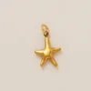 Star pendant