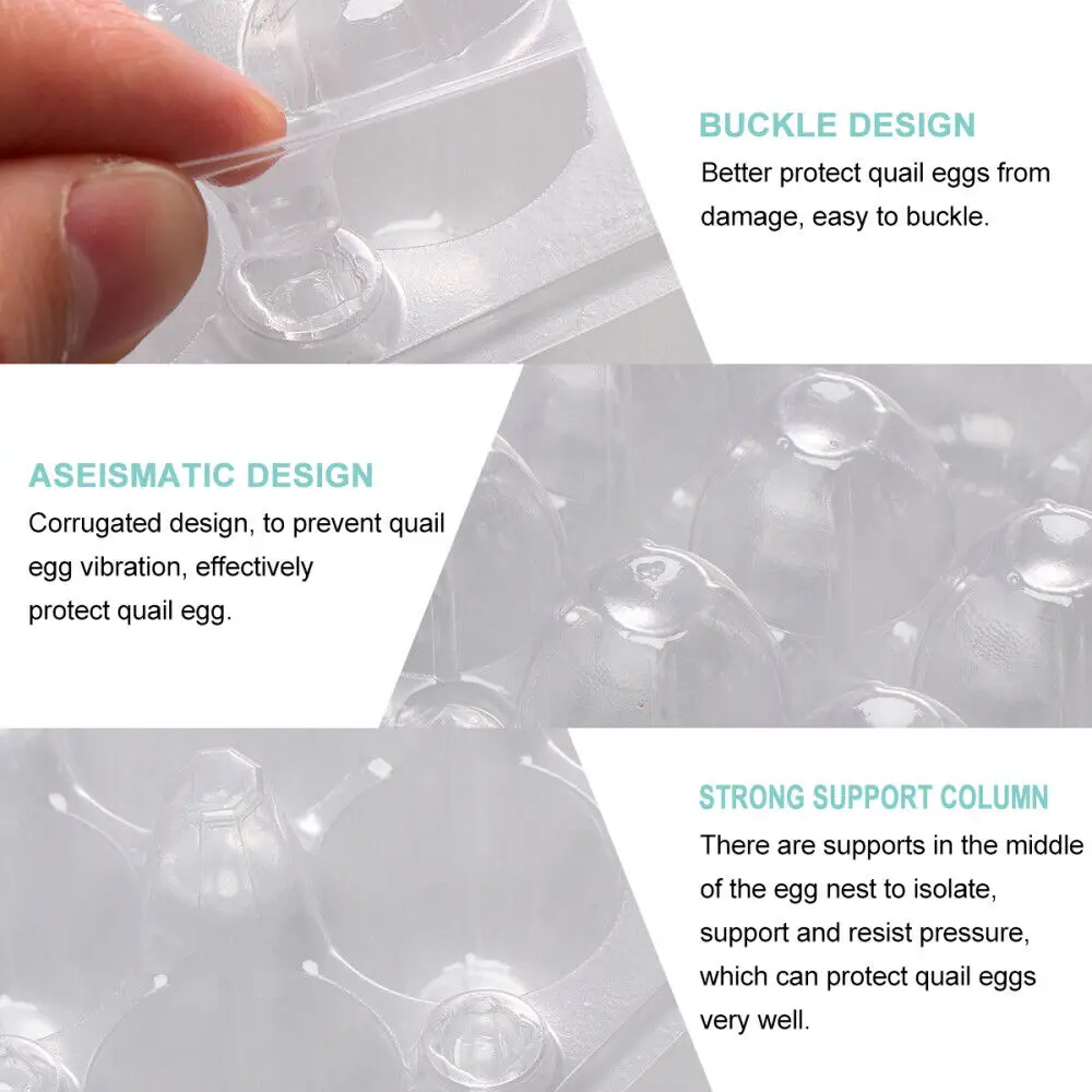 30 Cells Quail Egg Tray Plastic Quail Egg Tray For Sale