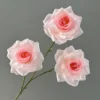 สีชมพูอ่อน