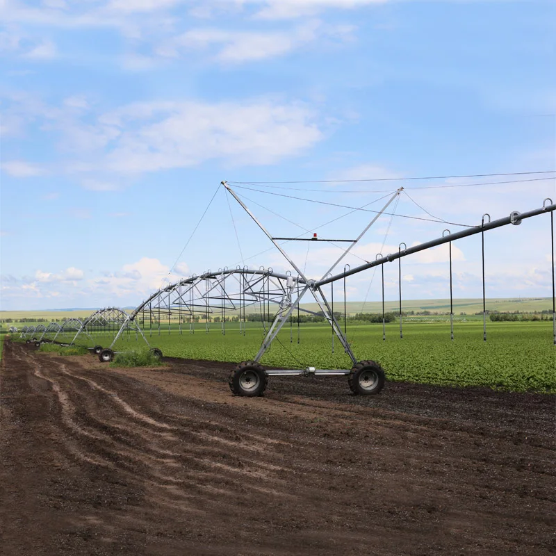 High Efficiency Farm Rotating Center Pivot Irrigation Overhead Pivoting Irrigator for Russian
