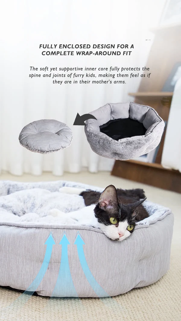 New Pet Dog House cat House Four Seasons Durable Breathable Pet House Small and Medium-sized Dog Pet Sofa Bed