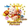 โชคลาภของแมววิเศษ