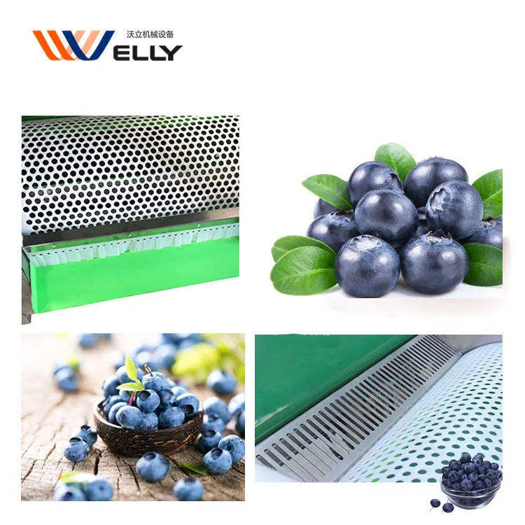More Convient Automatic Blueberry by Size Sorter Grader Machine With Cushioning Material