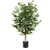 Árbol de baniano verde de 1 metro