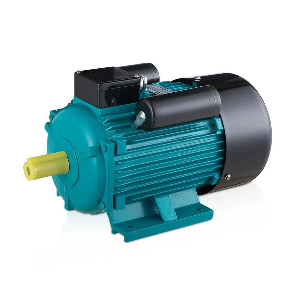 Ac Single Phase Electric Motor Driven Water Pump 230V