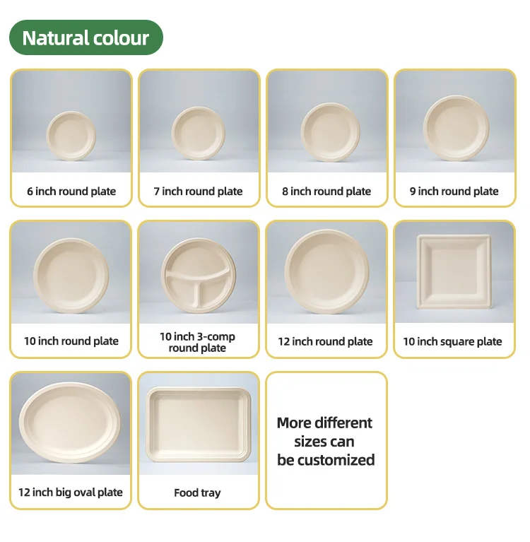Disposable Biodegradable Plates Sugarcane Bagasse Paper Pulp Mould 7 ...